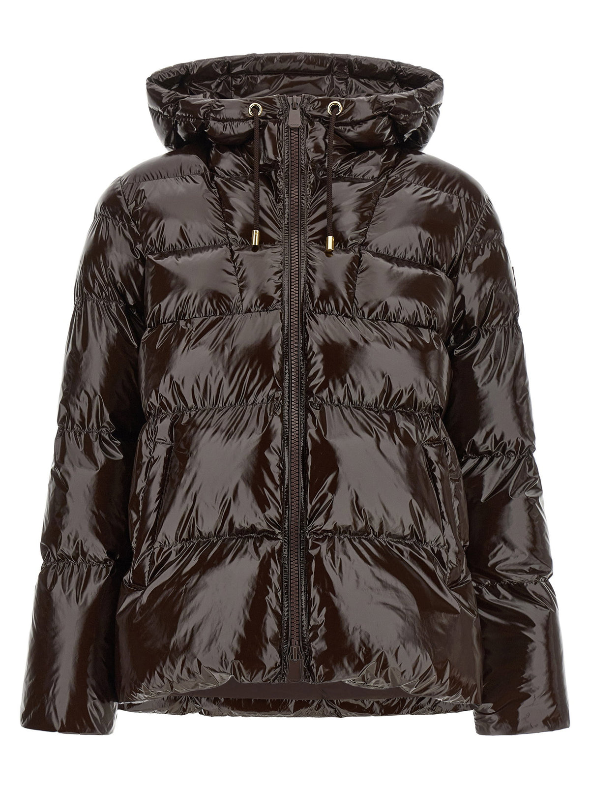 Pinko Eleodoro Down Jacket