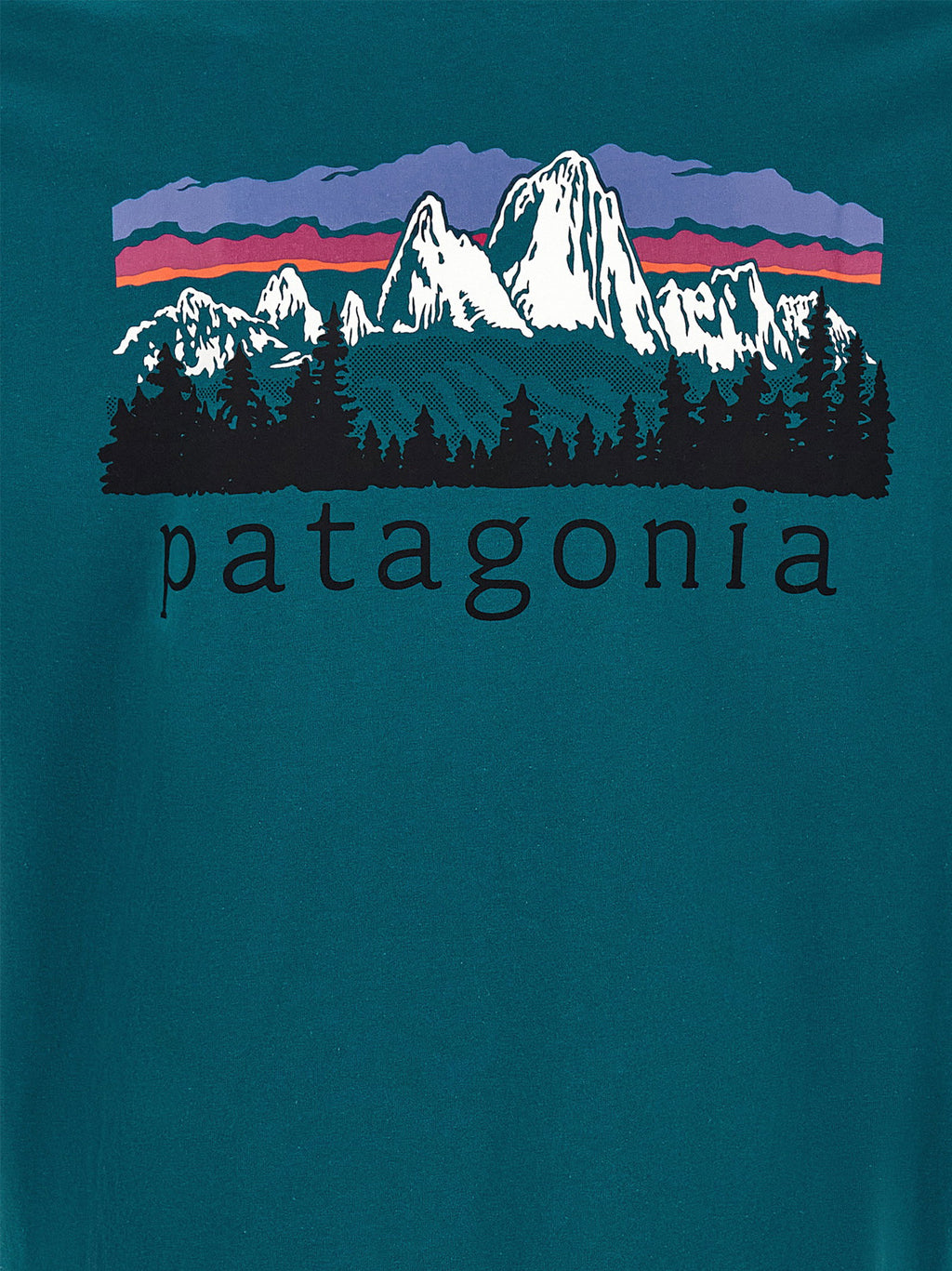 Patagonia Fitz Roy Foothills Print T-shirt