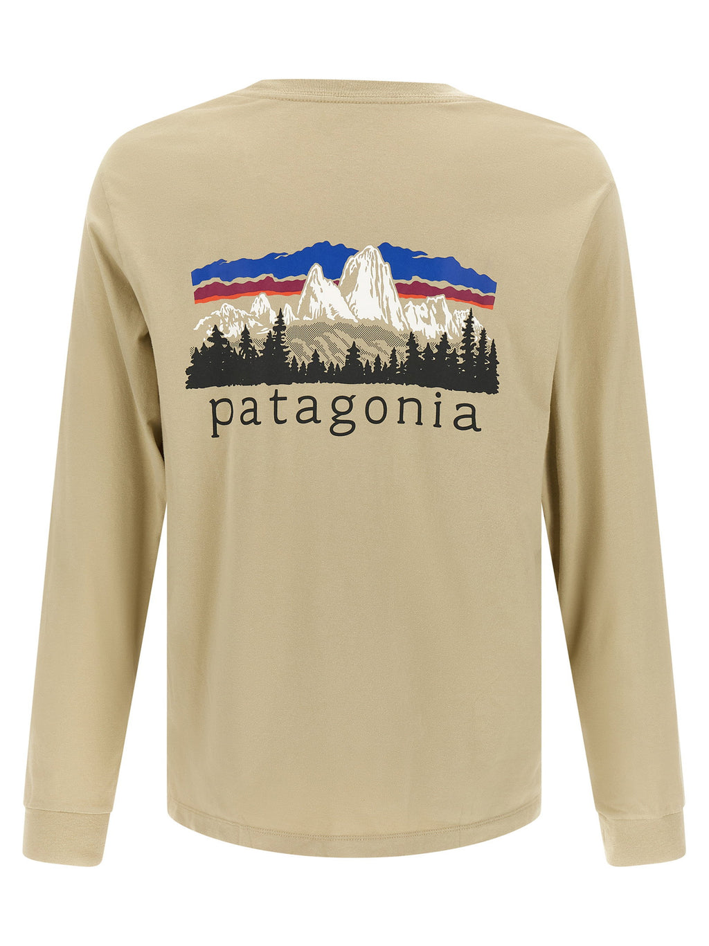Patagonia Fitz Roy Foothills T-shirt Patagonia