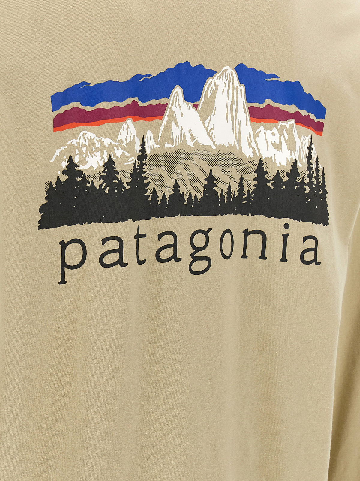 Patagonia Fitz Roy Foothills T-shirt Patagonia