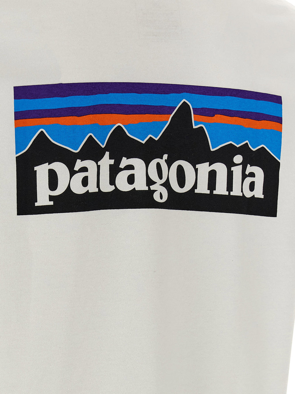 Patagonia Responsibili T-shirt Patagonia