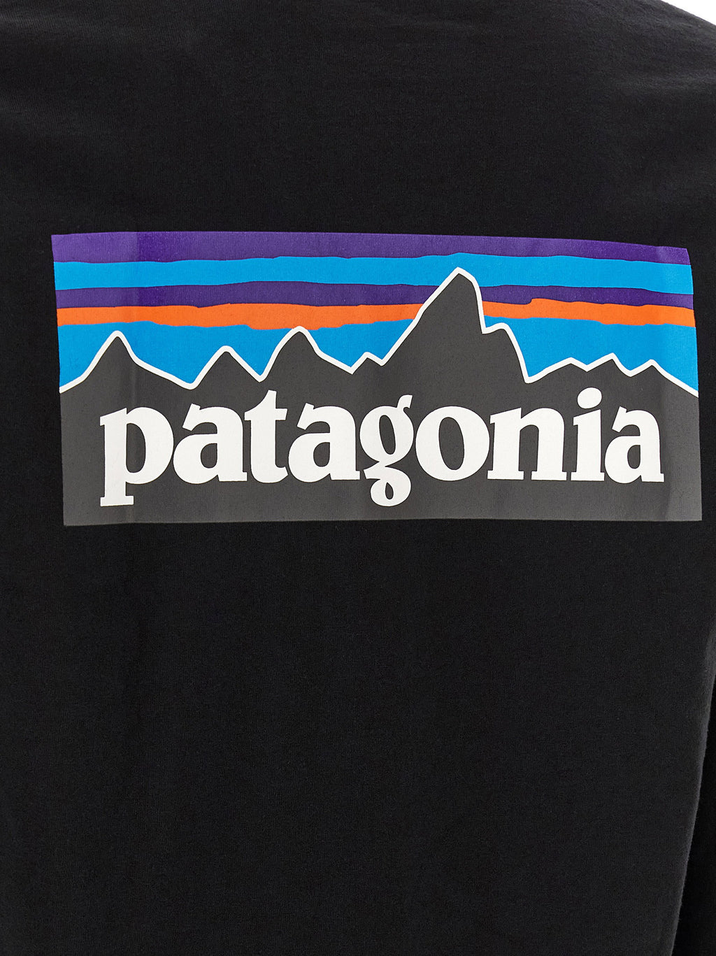Patagonia Responsibili T-shirt Patagonia
