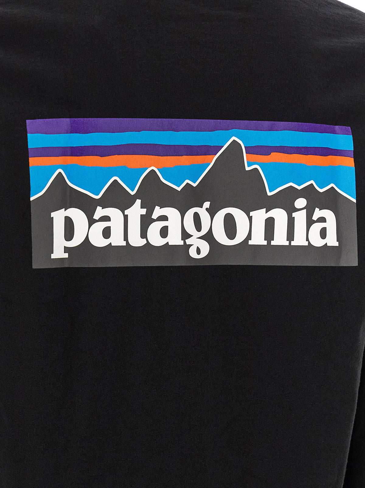 Patagonia Responsibili T-shirt Patagonia