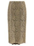 Ermanno Scervino Embroidered Tulle Skirt