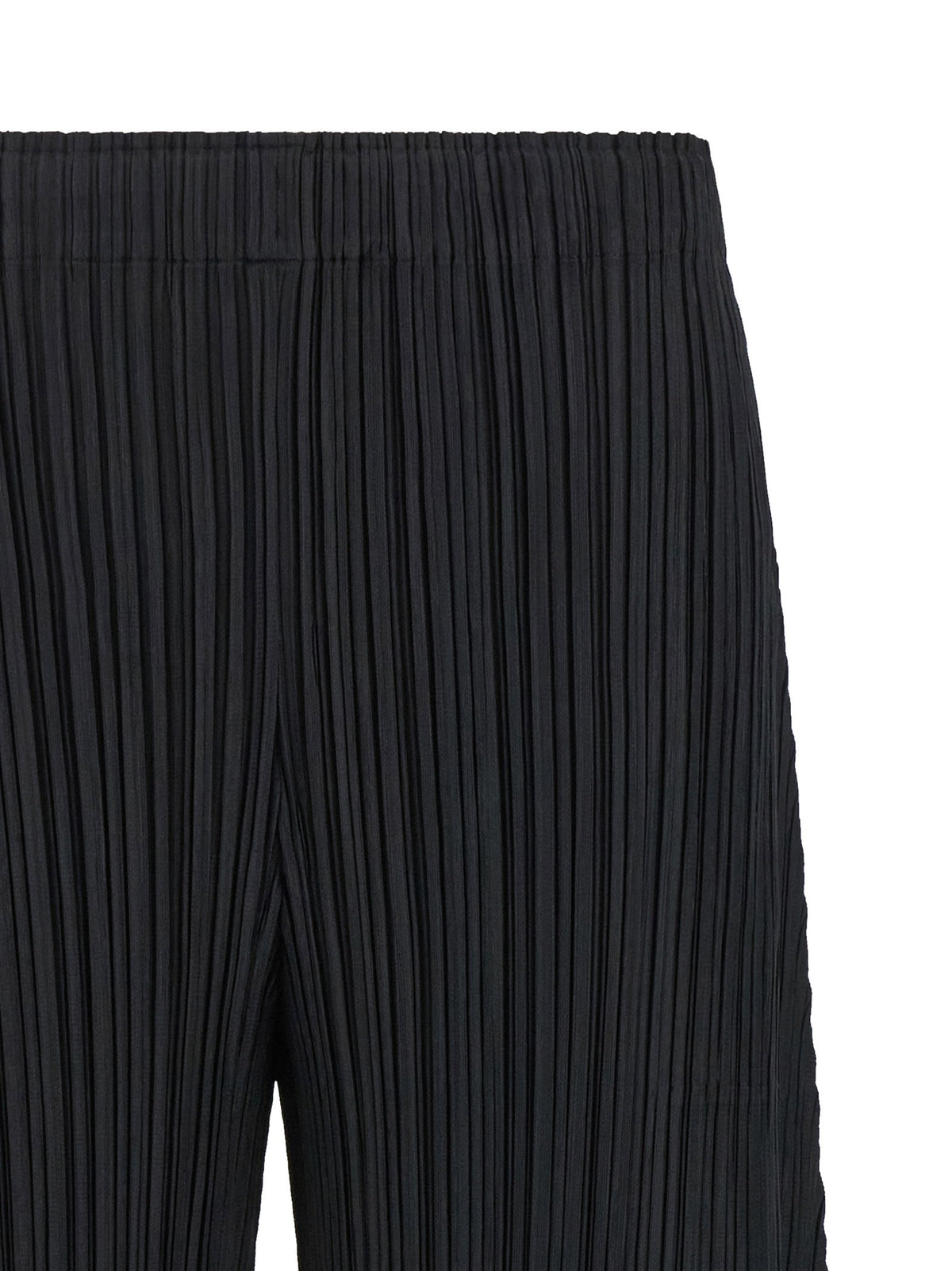 Pleats Please Issey Miyake Thicker Bottoms 1 Pants